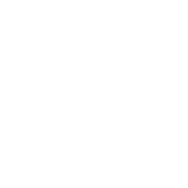 Spejsi logo