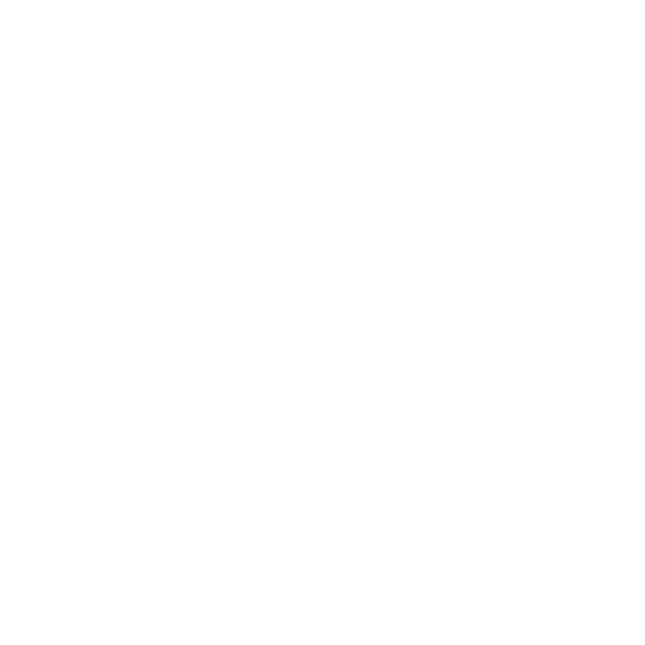 logo Story of Prague